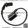 Ignition Coil & Spark Plug Boot and Wire For Polaris Replaces 0455029  (For: Polaris)