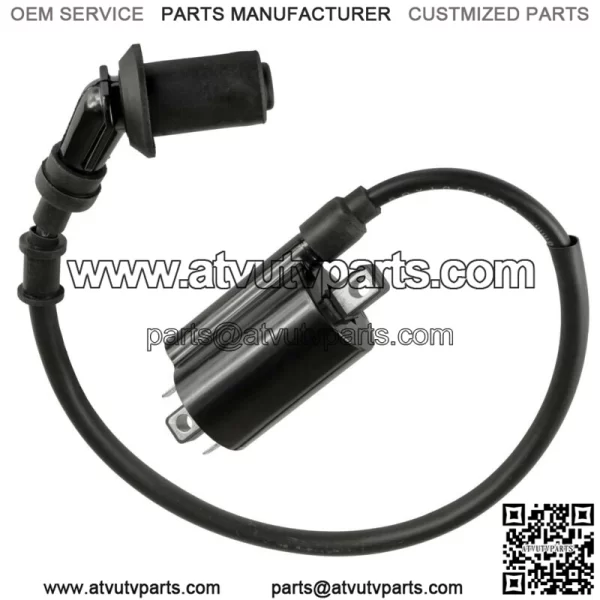 Ignition Coil & Spark Plug Boot and Wire For Polaris Replaces 0455029  (For: Polaris)