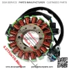 Fit For Suzuki B-King 08-10 GSX1300R Hayabusa 99-18 Generator Stator Coil - Image 2