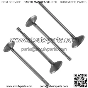 Exhaust & Intake Valve for Polaris Sportsman 800 EFI Touring 2008-2009 (For: Polaris Sportsman 800)