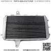 Aluminum ATV Radiator For Can-Am DS450X 450EFI 450XXC 450XMX 2008-2015 709200152 - Image 3