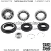 Honda FourTrax 300 TRX300 Front Differential Bearing and Seal Kit 1988 - 2000 (For: Honda) - Image 2