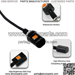 Super Bright 12V Waterproof Tag Screw Bolt License Plate LED Lights Holder Legal for Car Motorcycle Truck RV ATV Bike, Purper(4PCS)