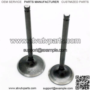 CF250 intake and exhaust valve