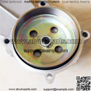 dune buggy atv 250cc reverse transmission gearbox 2