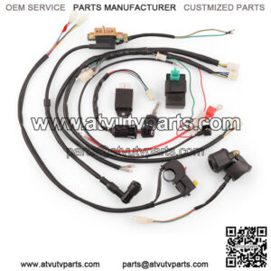 Off-road motorcycle 110-125CRF50/70 Apollo small flying eagle circuit assembly electrical device igniter