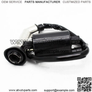 257cc 260cc 300cc ignition coil