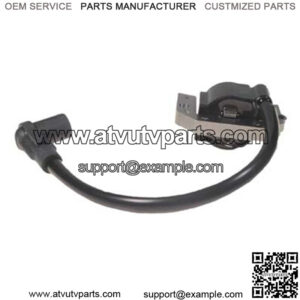 RXV Ignition Coil Assembly