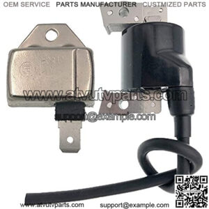 BM11 21119-2161 Igniter Module Ignitor with 21121-2008 AM101065 Ignition Coil for Lawn Tractor ET18092,ZF472NEW