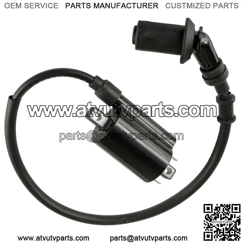 Ignition Coil w/ Spark Plug Boot & Wire For Polaris RZR 170 2015-2021 0455029