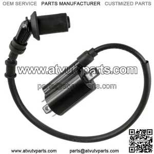 Ignition Coil w/ Spark Plug Boot & Wire For Polaris RZR 170 2015-2021 0455029 (For: Polaris)