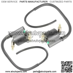2 Ignition Coil fits Kawasaki Teryx 4 800 KTR800 / Teryx 800 KRF800 2014 - 2020 (For: More than one vehicle)