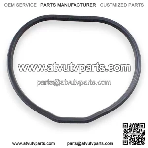 Oring throttle body intake manifold SFA 1000