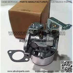 OEM Carburetor Assembly 640129