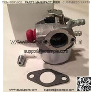 OEM Carburetor Assembly 640017B