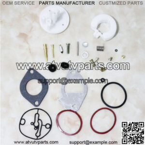 Carburetor repair kit overhaul