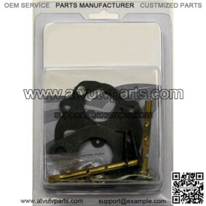 Complete  "Viton" Carburetor Kit ZCK19