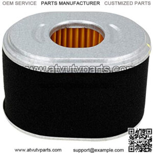 Air Filter Cleaner for CT200U Trail200 Trail Mini Bike 196cc Trailmaster Mini XRX and Mini XRS Mini Shark and 80T Go Karts