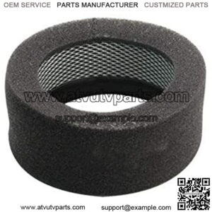 Cycle 17-0079 Super B Foam Filter,