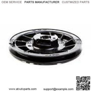OEM Pulley-Starter Part Number 494545