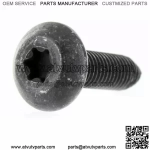 7520121 OEM Polaris Scr-tftx-m8x1.25x30 ZOD