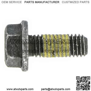 Polaris New OEM Scr-Hxfl-M8X1.25X20 8.8 Zod P3 7519133