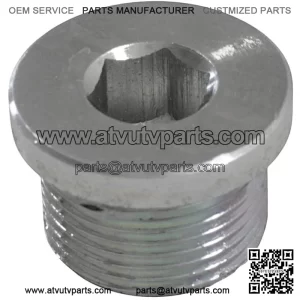 Screw, Oil Pressure Relief Valve Plug SFA 1000