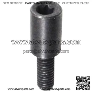 Bolt, Pin of the Movable Timing Chain Slider SFA 1000