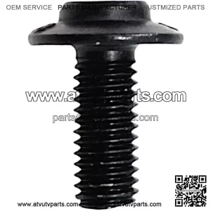 Screw M5x12mm 08001P620000