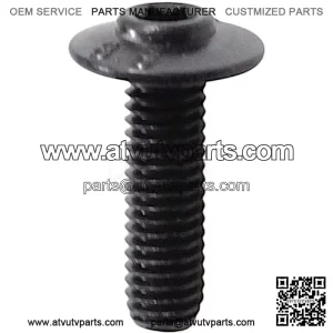 Screw M6x20mm 08002P620003