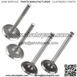 Exhaust & Intake Valve for Kawasaki Mule 4000 4x4 2009 2010 2011 2012 2013-2022