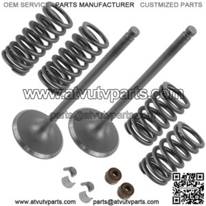 2x Intake Valve Kit for Honda Rincon 680 TRX680 4x4 2006 2007 2008 2009-2022