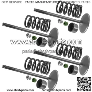 3022134 7043745 3610161 7081470 3022443 Intake Valve Kit For Polaris