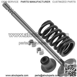 5137264 7042336 5411895 5910042 Exhaust Valve Kit For Polaris