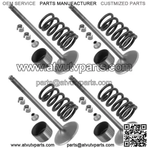 3022415 7043919 3610212 7081470 3022443 Intake Valve Kit For Polaris