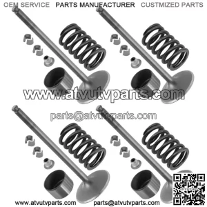 Intake Valve Kit For Polaris RZR Trail 900 2022-2023 / 3022415 7081470