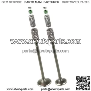 Cylinder Head Intake Exhaust Valve Kit for Honda XR200 XR200R 1980-2002