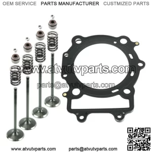 Cylinder Head Intake Exhaust Valve Kit for Arctic Cat 650 4X4 H1 2005-2011