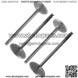2x Intake & Exhaust Valve for Polaris Ranger 570 15-16 / Sportsman Forest 570 14 (For: Polaris Sportsman 570)