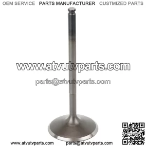 Intake Valve for Polaris ATV UTV 3022134 Intake Valve (For: Polaris Sportsman 570)