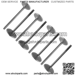 4x Intake & Exhaust Valve for Polaris Ranger 570 XP / Ranger 570-6 Crew 2016 (For: Polaris Sportsman 570)