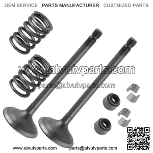 2x Exhaust Valve Kit for Yamaha Rhino 660 4x4 2004 2005 2006 2007 (For: 2006 Yamaha Rhino 660)