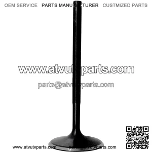 Intake valve SFA 1000