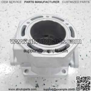 SNOWMOBILE 1993-1994 EXT 580 ZR 580 ENGINE CYLINDER 3004-065