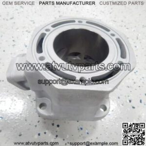 SNOWMOBILE 1998-2001 ZR 500 ZL 500 ENGINE CYLINDER 3005-212
