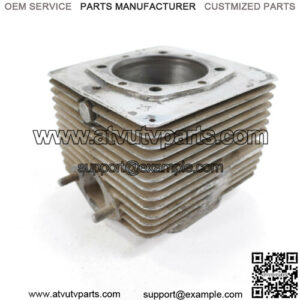 317 Snowmobile Engine Cylinder 78.25mm Motor Vintage 634cc F/C Top End FC