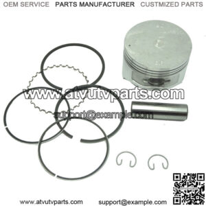 295cc Standard Piston and Ring Assembly