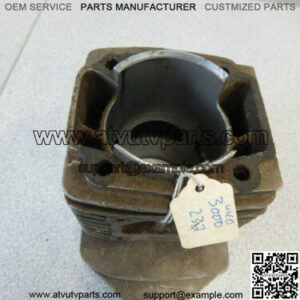 SNOWMOBILE 1974-1975 CHEETAH PANTHER PANTERA CYLINDER HEAD 3000-232