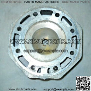 Genuine Snowmobile Cylinder Head OEM 3003-757
