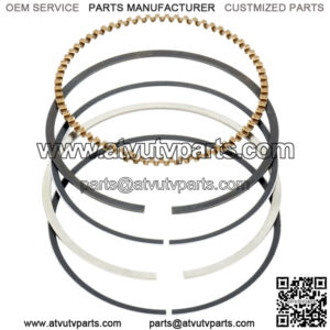 Cylinder Piston Ring For Honda TRX250EX Sportrax 250 2X4 2001-2008 Standard Bore